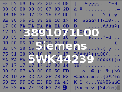 3891071L00 Siemens 5WK44239