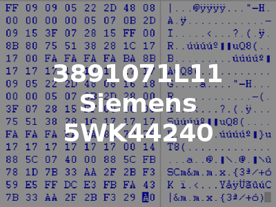 3891071L11 Siemens 5WK44240