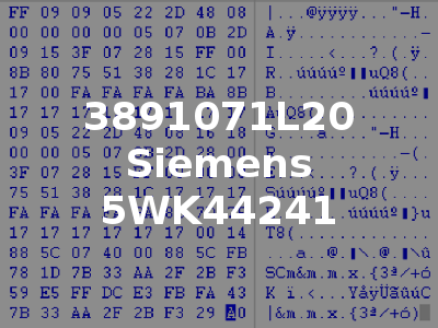 3891071L20 Siemens 5WK44241