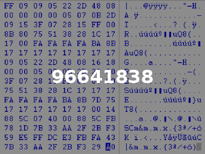 96641838