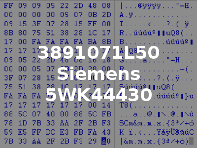 3891071L50 Siemens 5WK44430