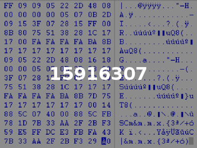 15916307
