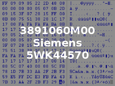 3891060M00 Siemens 5WK44570