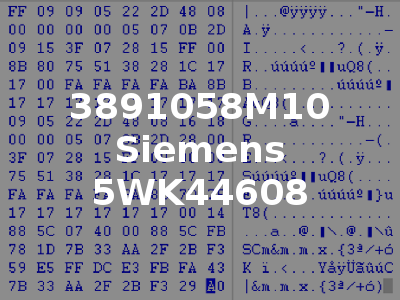 3891058M10 Siemens 5WK44608