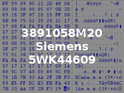 3891058M20 Siemens 5WK44609