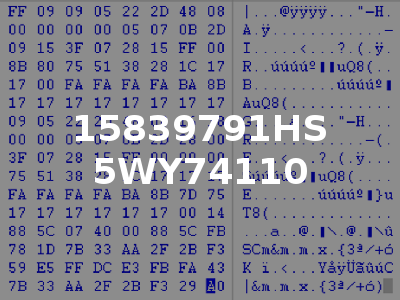 15839791HS 5WY74110
