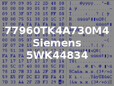 77960TK4A730M4 Siemens 5WK44834