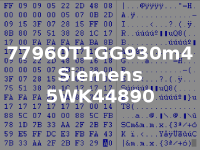 77960T1GG930m4 Siemens 5WK44890