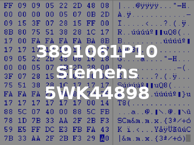 3891061P10 Siemens 5WK44898