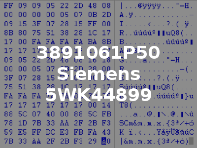 3891061P50 Siemens 5WK44899