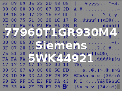 77960T1GR930M4 Siemens 5WK44921