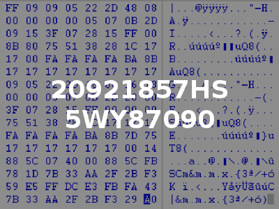 20921857HS 5WY87090
