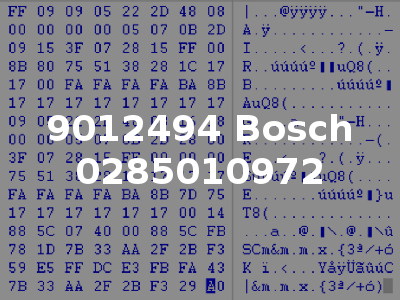 9012494 Bosch 0285010972