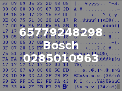 65779248298 Bosch 0285010963