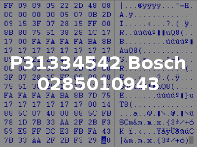P31334542 Bosch 0285010943