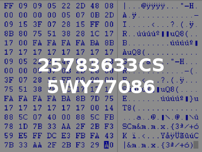 25783633CS 5WY77086