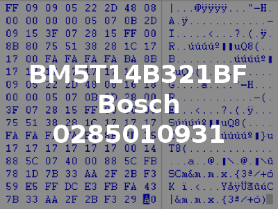 BM5T14B321BF Bosch 0285010931