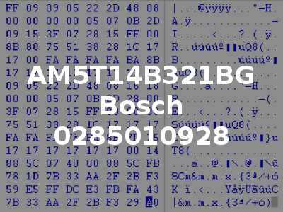 AM5T14B321BG Bosch 0285010928