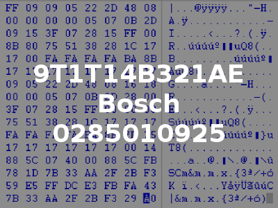 9T1T14B321AE Bosch 0285010925