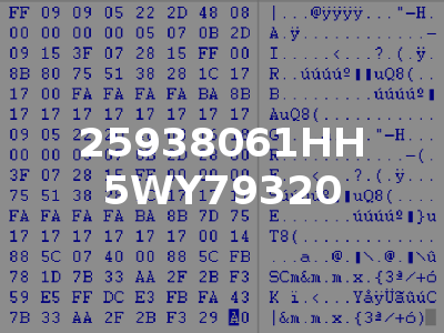 25938061HH 5WY79320