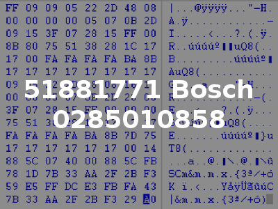 51881771 Bosch 0285010858