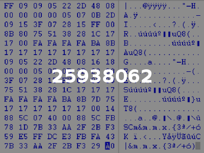 25938062