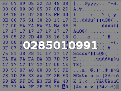 0285010991