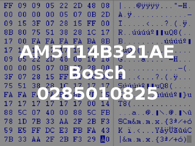 AM5T14B321AE Bosch 0285010825