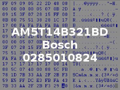 AM5T14B321BD Bosch 0285010824