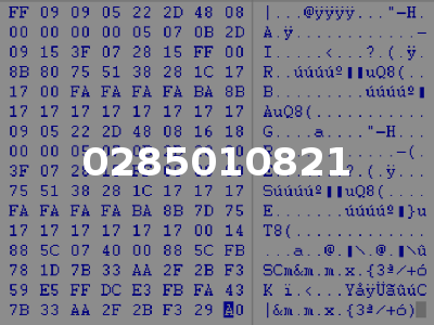 0285010821