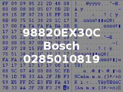 98820EX30C Bosch 0285010819