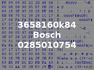 3658160k84 Bosch 0285010754