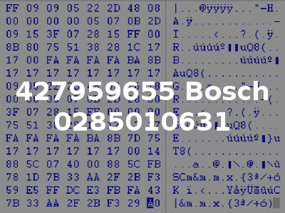 427959655 Bosch 0285010631