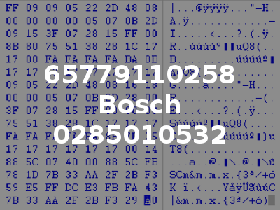 65779110258 Bosch 0285010532