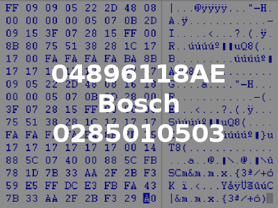 04896118AE Bosch 0285010503