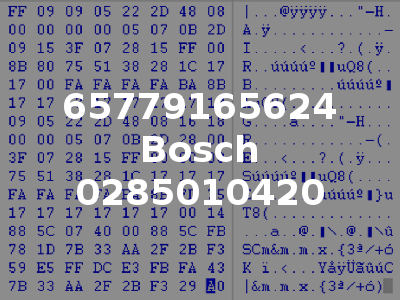 65779165624 Bosch 0285010420