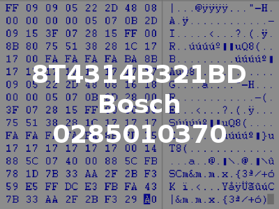 8T4314B321BD Bosch 0285010370