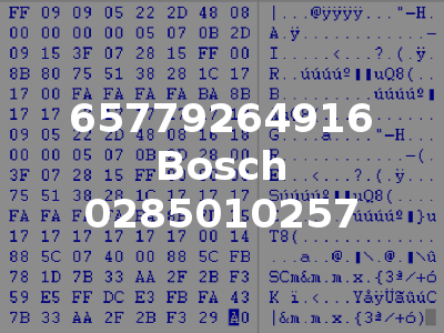 65779264916 Bosch 0285010257