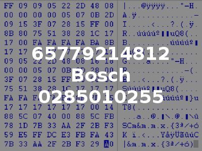 65779214812 Bosch 0285010255
