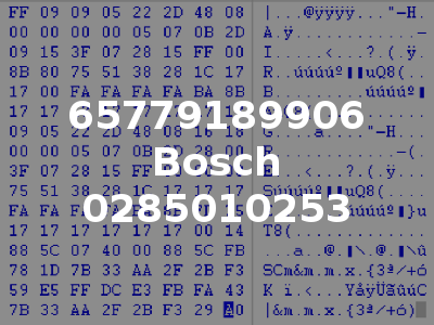 65779189906 Bosch 0285010253