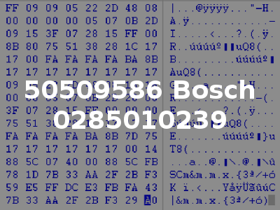 50509586 Bosch 0285010239