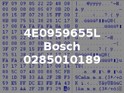 4E0959655L Bosch 0285010189
