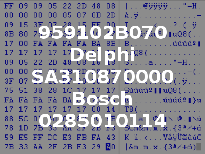 959102B070 Delphi SA310870000 Bosch 0285010114