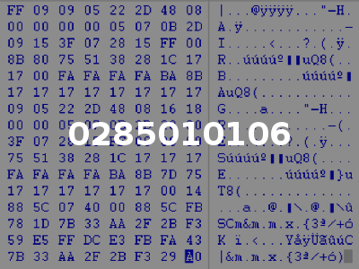 0285010106