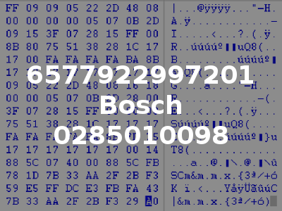 6577922997201 Bosch 0285010098