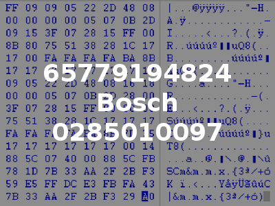 65779194824 Bosch 0285010097