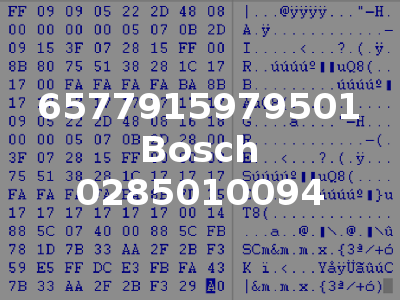 6577915979501 Bosch 0285010094