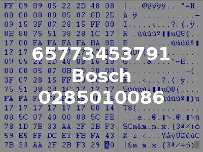 65773453791 Bosch 0285010086