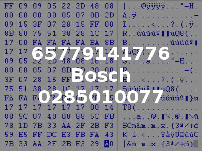 65779141776 Bosch 0285010077