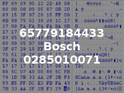 65779184433 Bosch 0285010071